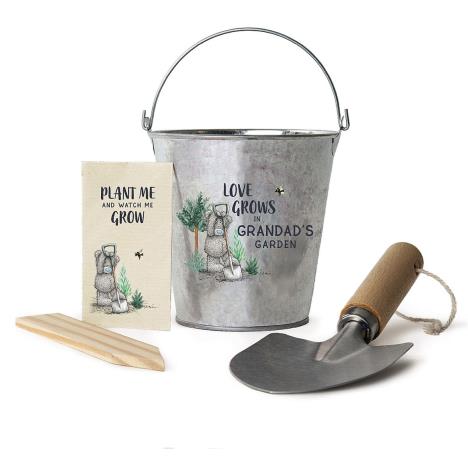 Grandad Me to You Bear Plant Pot Gift Set £9.99